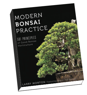 Modern Bonsai Practice
