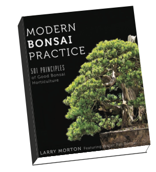 Modern Bonsai Practice - 501 Principles of Good Bonsai Horticulture