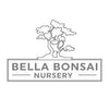 Chastetree Bonsai Tree